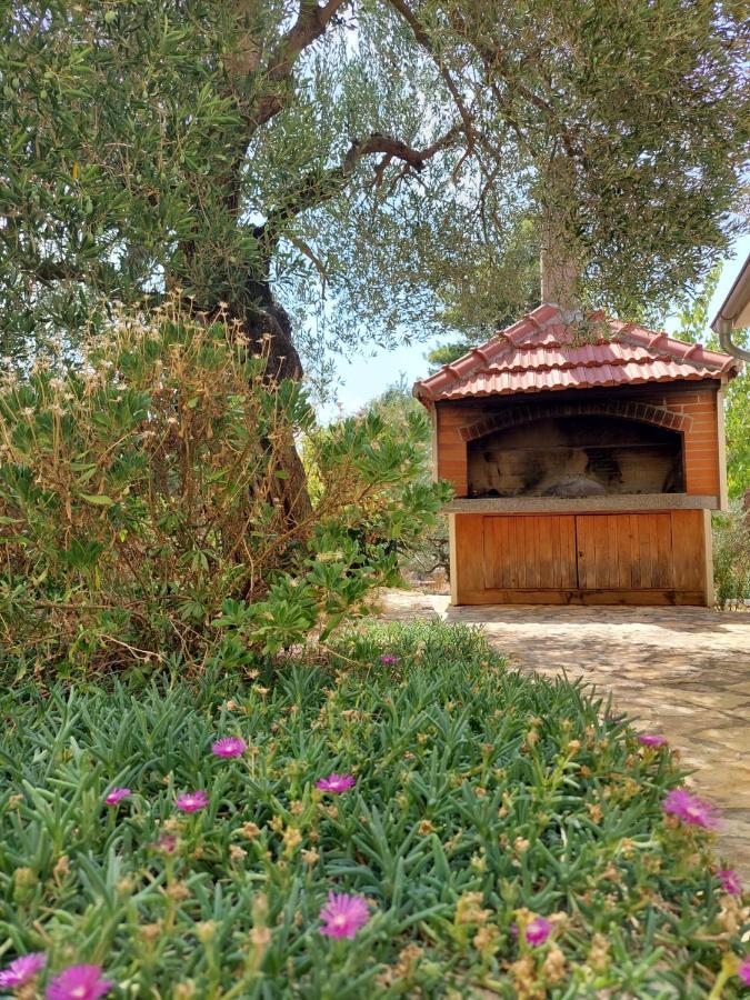 Apartments Dia Zaostrog Εξωτερικό φωτογραφία