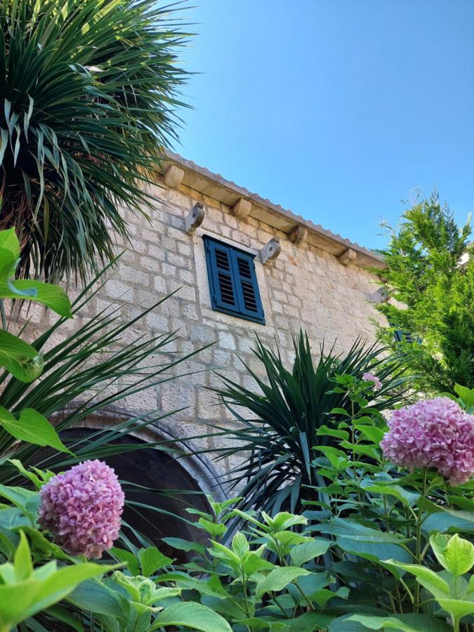 Apartments Dia Zaostrog Εξωτερικό φωτογραφία